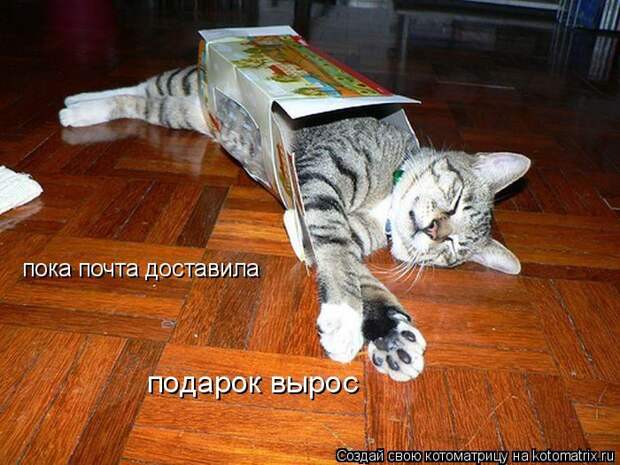 Мысли вслух :)