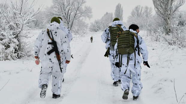 Украинские военные на линии соприкосновения в Донецкой области Украинские военные на линии соприкосновения в Донецкой области - РИА Новости, 1920, 24.01.2022