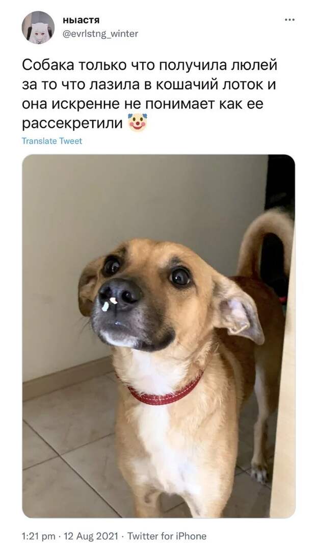 1. 1.
