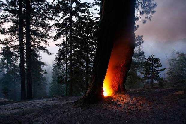 Ужасная красота пожаров в Калифорнии