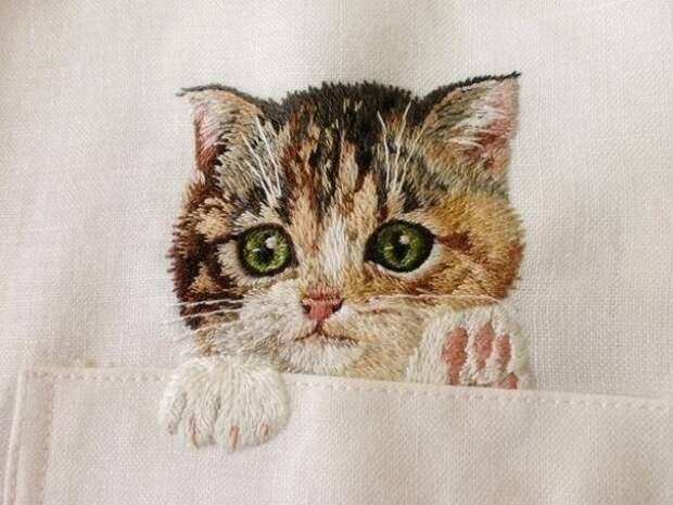 Карманные коты