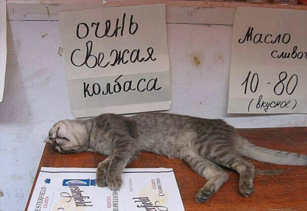 Настолько свежая, что аж живая. Настолько свежая, что аж живая.