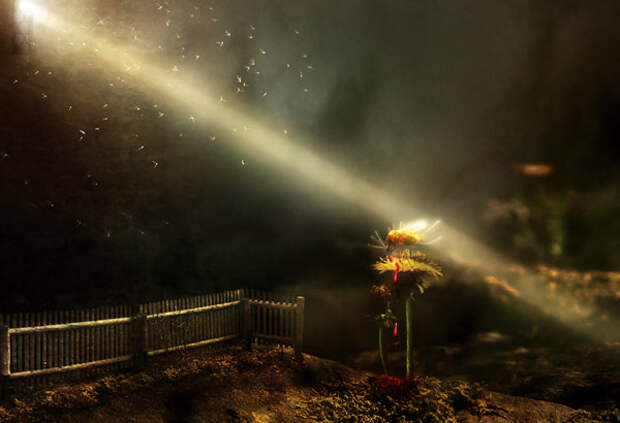 frank_melech_artworks