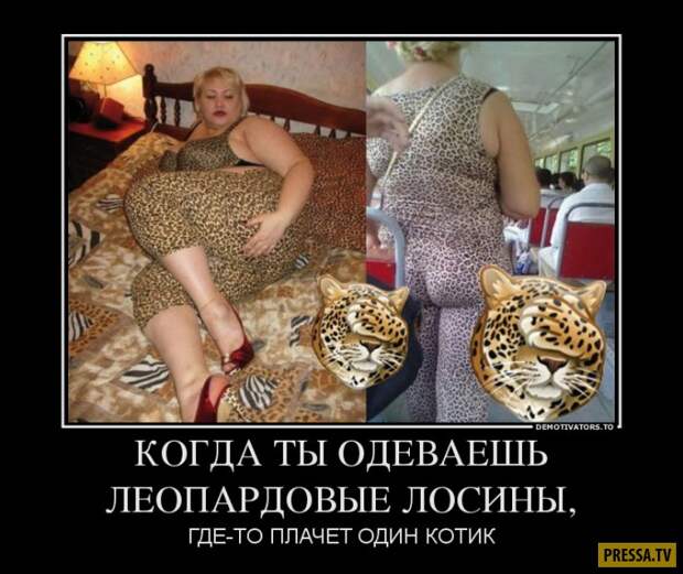 Демотиваторы (42 фото)