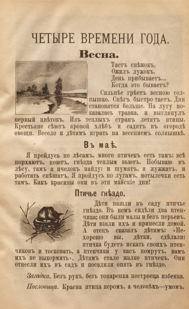 Наглядный букварь. Тулупов Н.В. 1916