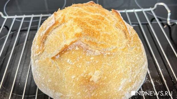 Сегодня отмечают «хлебный день»