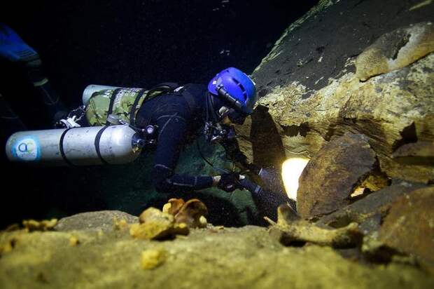 Ископаемые останки гигантского лемура дайверы, море, находки