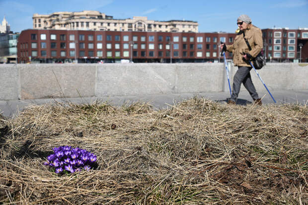 Гидрометцентр: в Москве ожидаются облачная погода и до +3°C8 марта