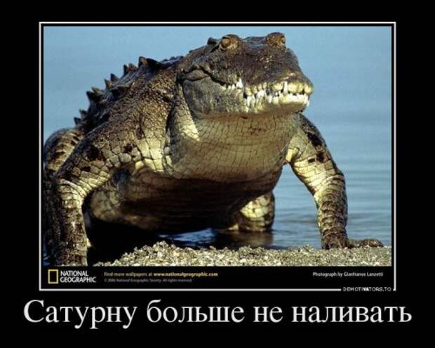 Новые демотиваторы на Бугаге (20 шт)