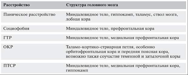 Структуры головного мозга, задействованные в патогенезе тревожных расстройств и когнитивной дисфункции