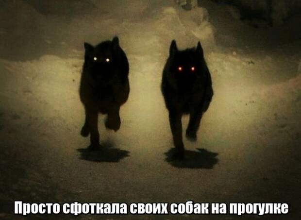 Подборка картинок. Вечерний выпуск (25 фото)