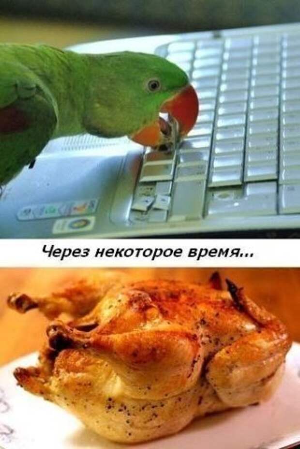 Фотоприколы по всем правилам!