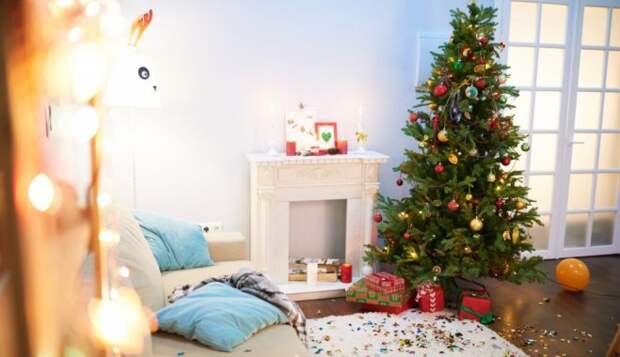 12 секретов, которые нужно знать при покупке рождественской елки