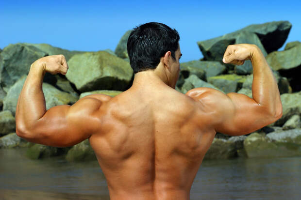 Как укрепить мышцы спины в домашних условиях?
