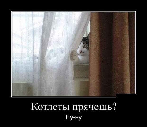 Демотиваторы (30 фото)