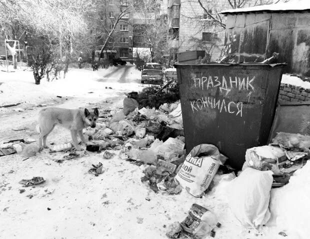 Прикольные объявления объявления, прикол, юмор