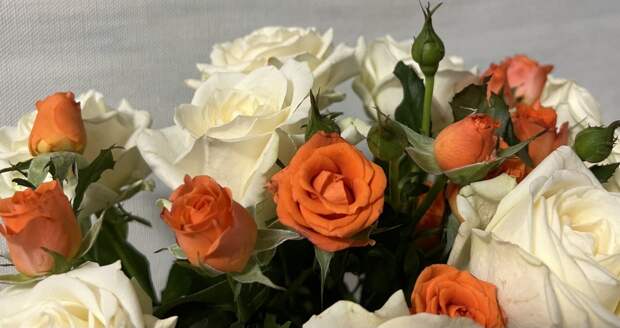 В Петербурге флористам перед 8 Марта предлагают 12 тысяч рублей за смену