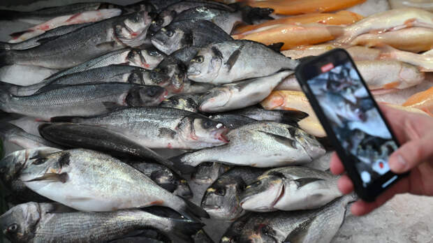 Помогите своей печени: диетолог рассказала, какая доступная рыба полезнее всего