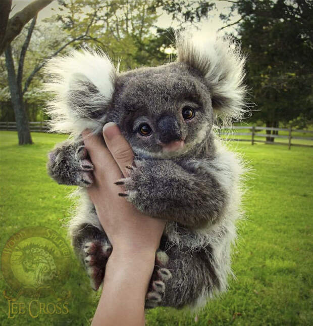 Poseable Baby Koala