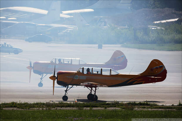 LYS56590