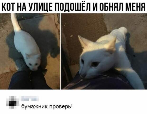 Подборка картинок (20 фото)