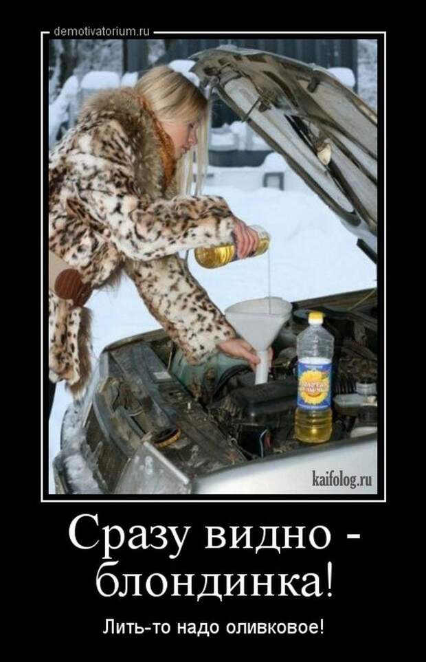 Демотиваторы про русских девушек (45 штук) Демотиваторы про русских девушек (45 штук)