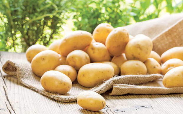 Китайский способ сажать картошку