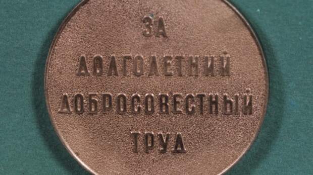 В Совфеде объяснили, как получить статус «Ветеран труда» в 2026 году