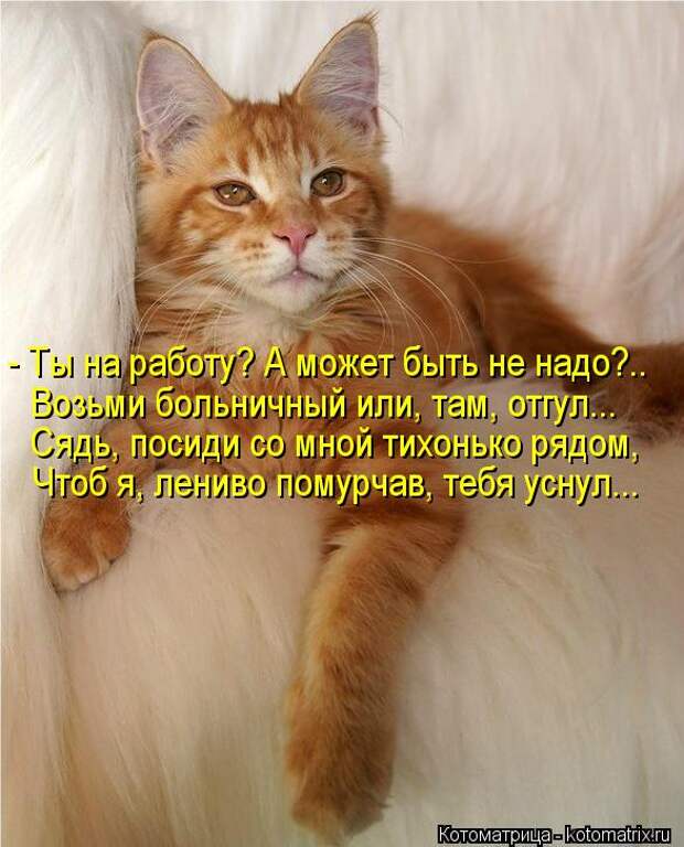 Котоматрица: - Ты на работу? А может быть не надо?.. Возьми больничный или, там, отгул... Сядь, посиди со мной тихонько рядом,  Чтоб я, лениво помурчав, тебя ус