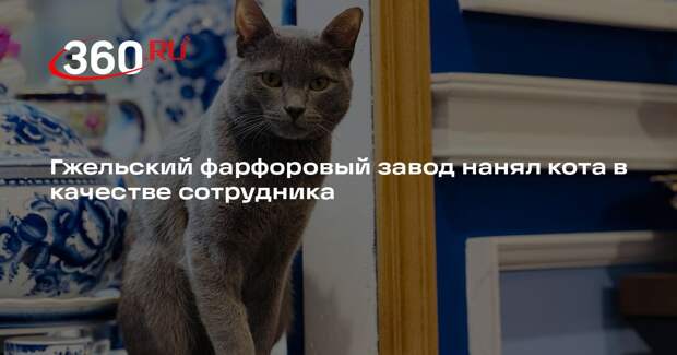 Гжельский фарфоровый завод нанял кота в качестве сотрудника