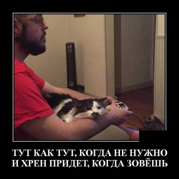 Демотиваторы (30 фото)