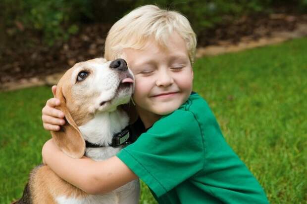 Не шутите с милотой: какие заболевания могут передать человеку домашние животные