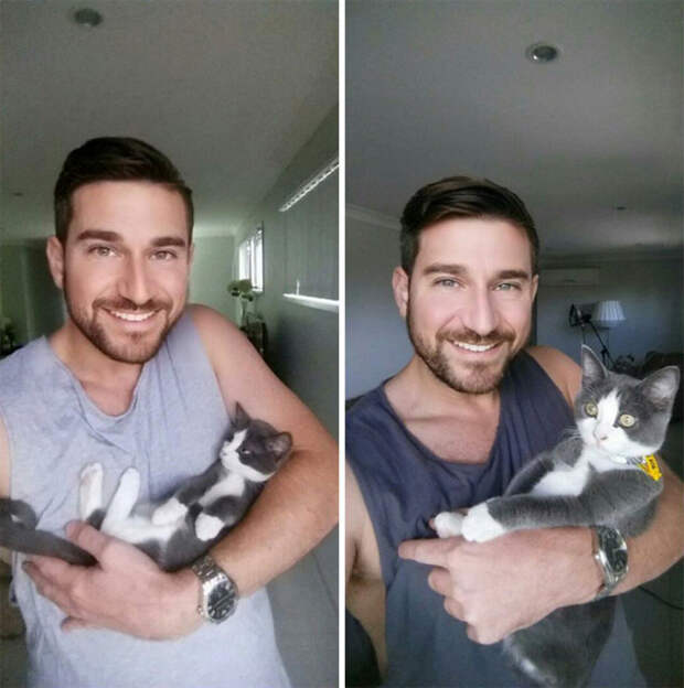 23 фотографии кошек до и после того, как их спасли от бездомной жизни