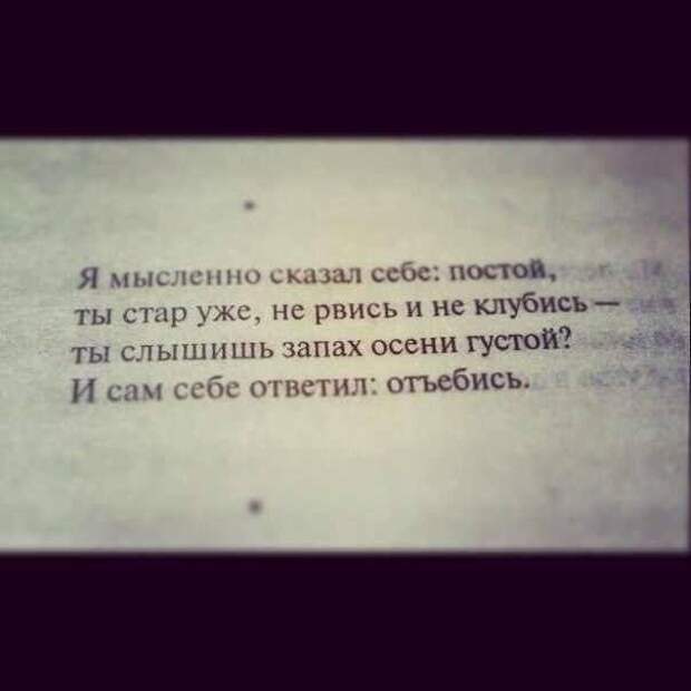 Прикольные картинки Прикольные картинки
