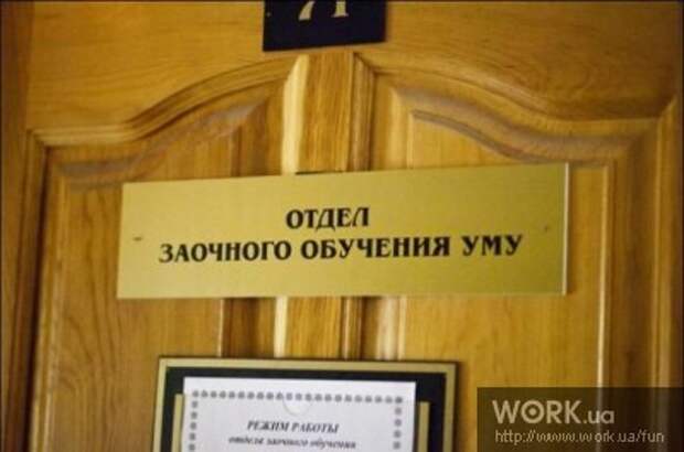В университете