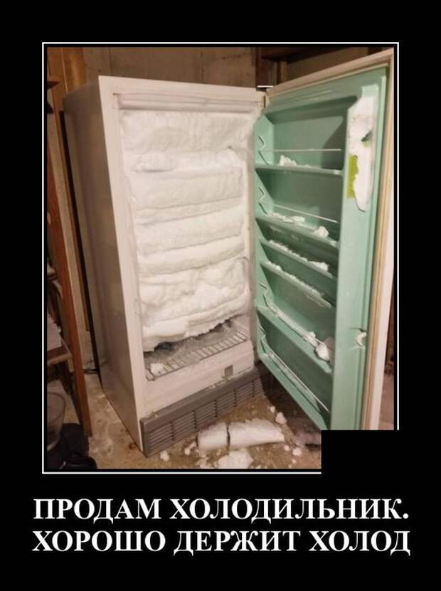 Демотиваторы (20 фото)