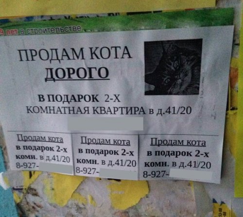 Смешные вывески, объявления и реклама (22 фото)