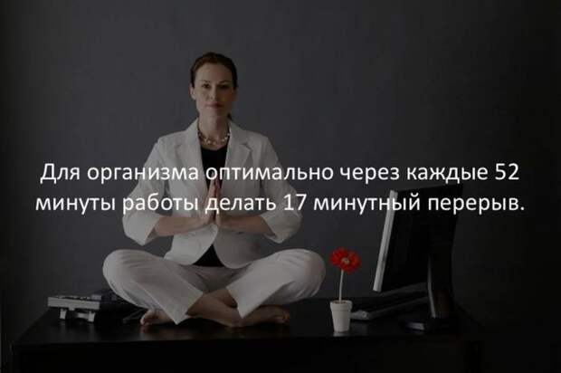 Интересные факты обо всем на свете