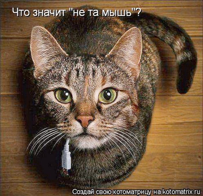 Мысли вслух :)