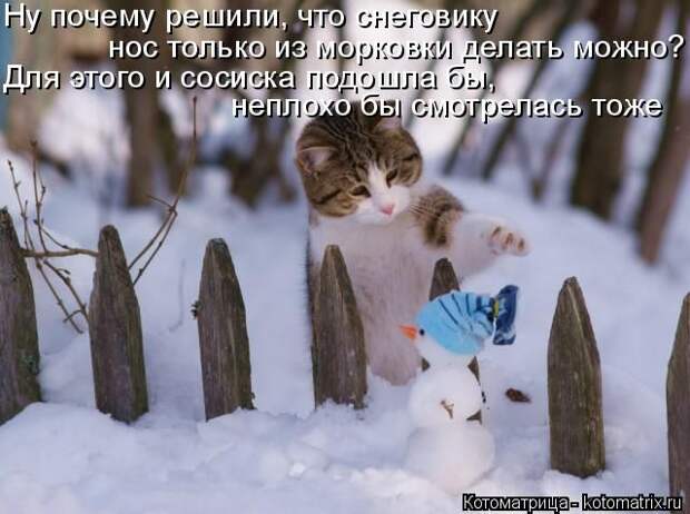Лучшие котоматрицы недели (50 фото)