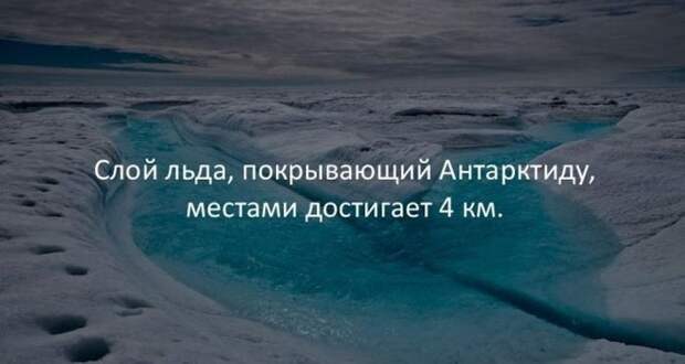 Интересные факты