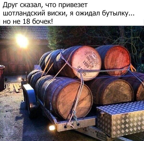 Прикольные картинки. Дневной выпуск (52 фото)