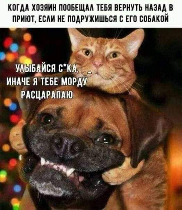 www.vsyako.net