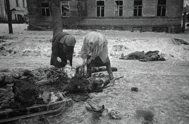 Блокада Ленинграда, "доска Маннергейма" и забытые уроки истории