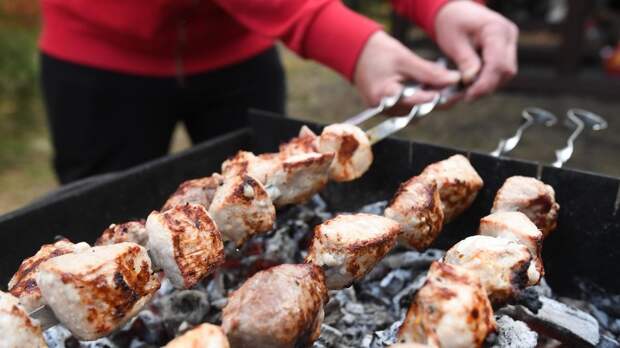 Дачников предупредили о штрафе за приготовление шашлыка на участке