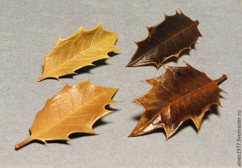 Листья покрытые воском. Листья в глицерине для поделок. Как обработать листья глицерином. Букет из осенних листьев в глицерине. Осенние листики в глицерине.