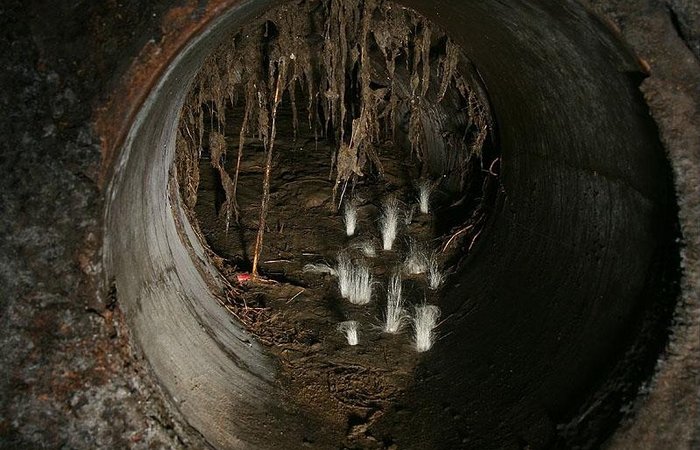 Возможно там пару позабытых и заброшенных комнат? Проверим...