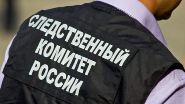 Следственные действия проходят в домах сотрудников ФБК в Москве Следственные действия проходят в домах сотрудников ФБК в Москве