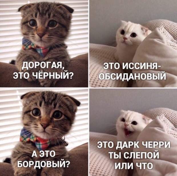 Подборка картинок. Вечерний выпуск (36 фото)