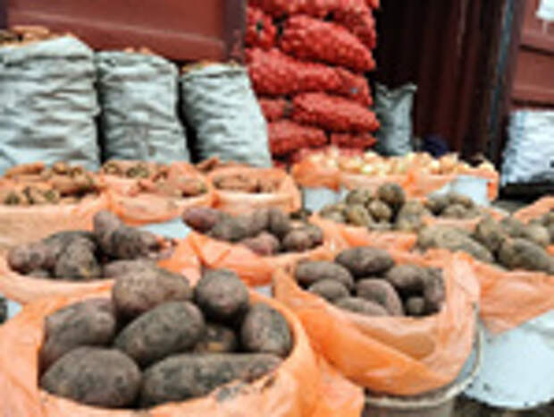 Фото: Мэрия Барнаула